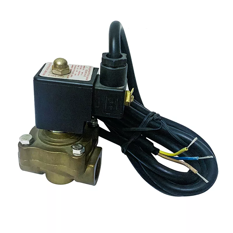 Single fluxus lpg dispensator solenoid valvae